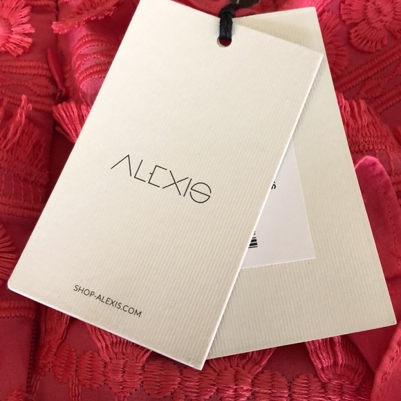 ALEXIS Phelia Top in Pink Embroidered Crop Top Size XS NWT - Picture 5 of 7